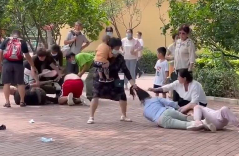 边抱孩子边扯头发 北京野生动物园上演“全武行”